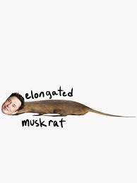 Elon